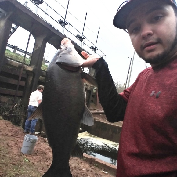 Meet your Posher, Ricky - Picture 1 of 1